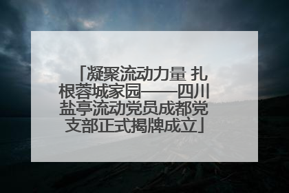凝聚流动力量 扎根蓉城家园——四川盐亭流动党员成都党支部正式揭牌成立