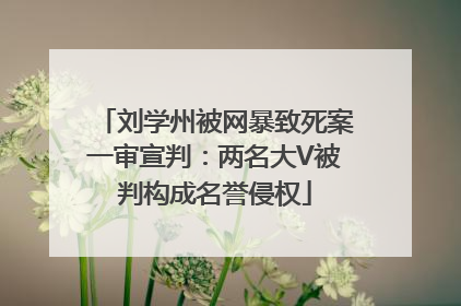 刘学州被网暴致死案一审宣判：两名大V被判构成名誉侵权
