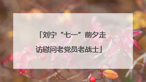 刘宁“七一”前夕走访慰问老党员老战士