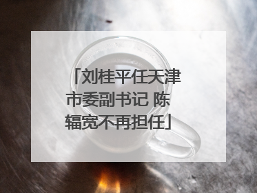 刘桂平任天津市委副书记 陈辐宽不再担任