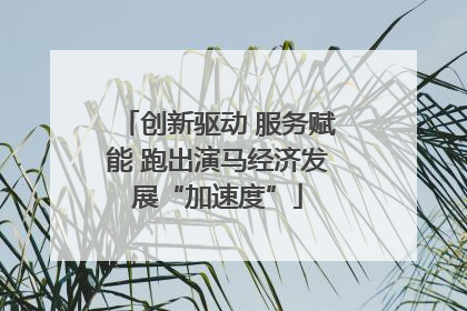 创新驱动 服务赋能 跑出演马经济发展“加速度”