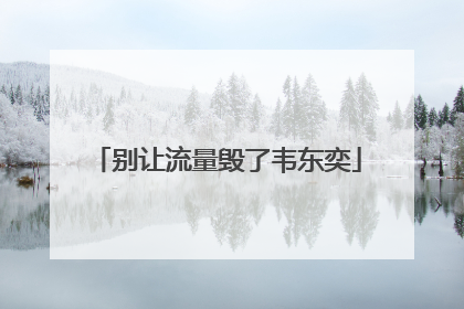 别让流量毁了韦东奕