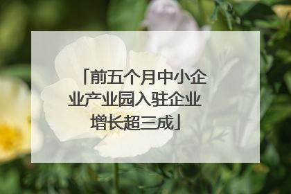 前五个月中小企业产业园入驻企业增长超三成