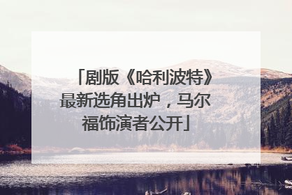 剧版《哈利波特》最新选角出炉，马尔福饰演者公开