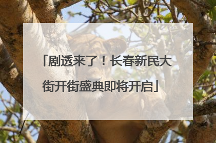 剧透来了！长春新民大街开街盛典即将开启
