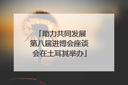助力共同发展 第八届进博会座谈会在土耳其举办