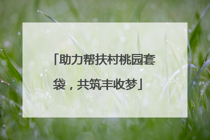 助力帮扶村桃园套袋，共筑丰收梦