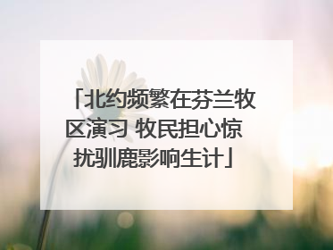 北约频繁在芬兰牧区演习 牧民担心惊扰驯鹿影响生计