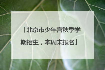 北京市少年宫秋季学期招生，本周末报名