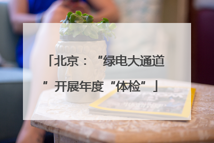 北京：“绿电大通道”开展年度“体检”