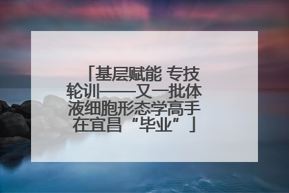 基层赋能 专技轮训——又一批体液细胞形态学高手在宜昌“毕业”