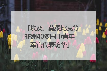 埃及、莫桑比克等非洲40多国中青年军官代表访华