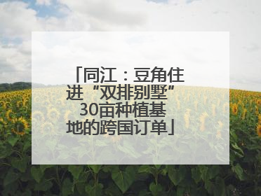 同江：豆角住进“双排别墅” 30亩种植基地的跨国订单