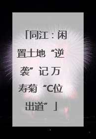 同江：闲置土地“逆袭”记 万寿菊“C位出道”