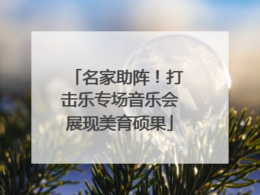 名家助阵！打击乐专场音乐会展现美育硕果
