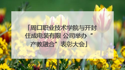 周口职业技术学院与开封住成电装有限 公司举办“产教融合”表彰大会
