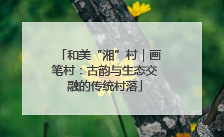 和美“湘”村｜画笔村：古韵与生态交融的传统村落