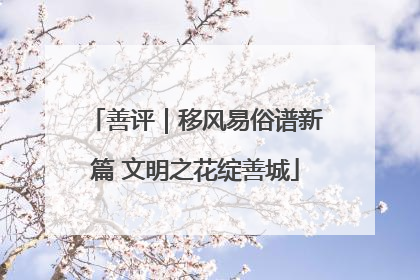 善评｜移风易俗谱新篇 文明之花绽善城
