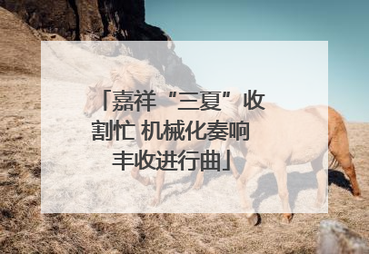 嘉祥“三夏”收割忙 机械化奏响丰收进行曲