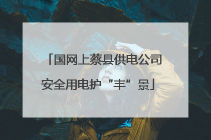 国网上蔡县供电公司安全用电护“丰”景