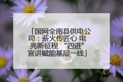 国网全南县供电公司：薪火传匠心 电亮新征程 “四进”宣讲赋能基层一线