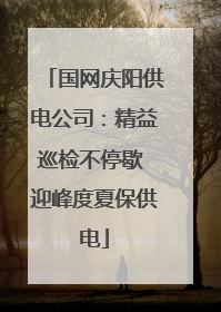 国网庆阳供电公司：精益巡检不停歇 迎峰度夏保供电