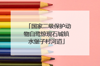 国家二级保护动物白鹭惊现石城镇水堡子村河道