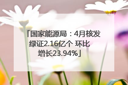 国家能源局：4月核发绿证2.16亿个 环比增长23.94%