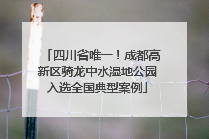 四川省唯一！成都高新区骑龙中水湿地公园入选全国典型案例