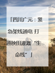 四川广元：紧急架线通电 打通秧田灌溉“生命线”