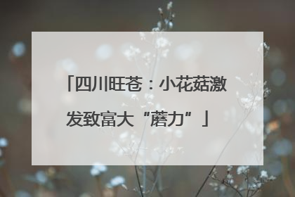 四川旺苍：小花菇激发致富大“蘑力”