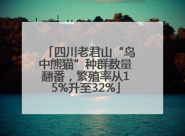 四川老君山“鸟中熊猫”种群数量翻番，繁殖率从15%升至32%