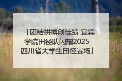 团结拼搏创佳绩 宜宾学院田径队闪耀2025四川省大学生田径赛场