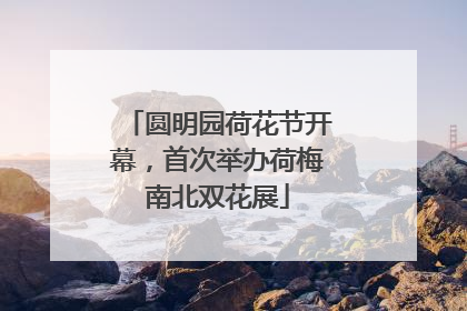 圆明园荷花节开幕，首次举办荷梅南北双花展