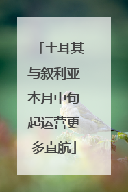 土耳其与叙利亚本月中旬起运营更多直航