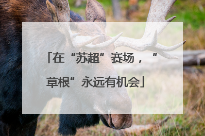 在“苏超”赛场，“草根”永远有机会