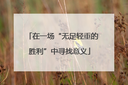 在一场“无足轻重的胜利”中寻找意义