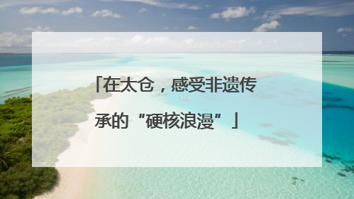 在太仓，感受非遗传承的“硬核浪漫”