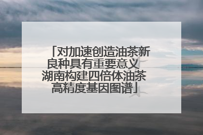 对加速创造油茶新良种具有重要意义 湖南构建四倍体油茶高精度基因图谱