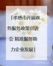 孝感市开展政务服务政策宣讲会 精准服务助力企业发展