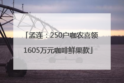 孟连：250户咖农喜领1605万元咖啡鲜果款