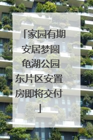 家园有期 安居梦圆 龟湖公园东片区安置房即将交付