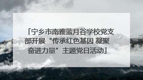 宁乡市南雅蓝月谷学校党支部开展“传承红色基因 凝聚奋进力量”主题党日活动