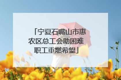 宁夏石嘴山市惠农区总工会助困难职工重燃希望
