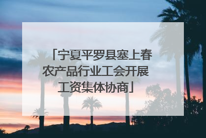 宁夏平罗县塞上春农产品行业工会开展工资集体协商