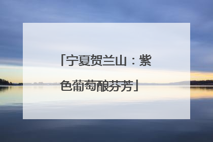 宁夏贺兰山：紫色葡萄酿芬芳
