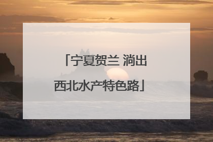 宁夏贺兰 淌出西北水产特色路