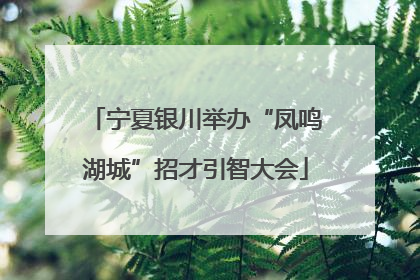 宁夏银川举办“凤鸣湖城”招才引智大会