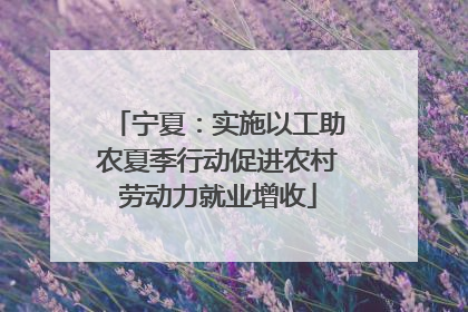 宁夏：实施以工助农夏季行动促进农村劳动力就业增收