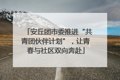 安丘团市委推进“共青团伙伴计划”，让青春与社区双向奔赴